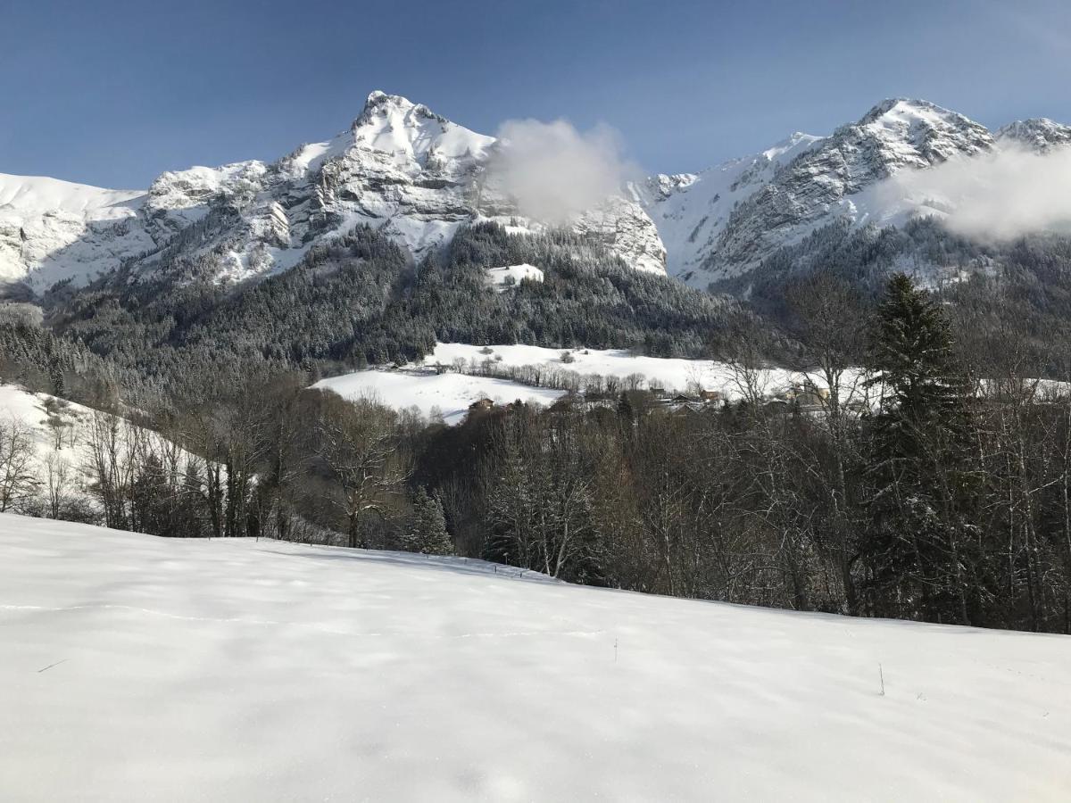 Magnifique T3 Entre Lac Et Montagne Pres D'Annecy Montmin Exterior foto